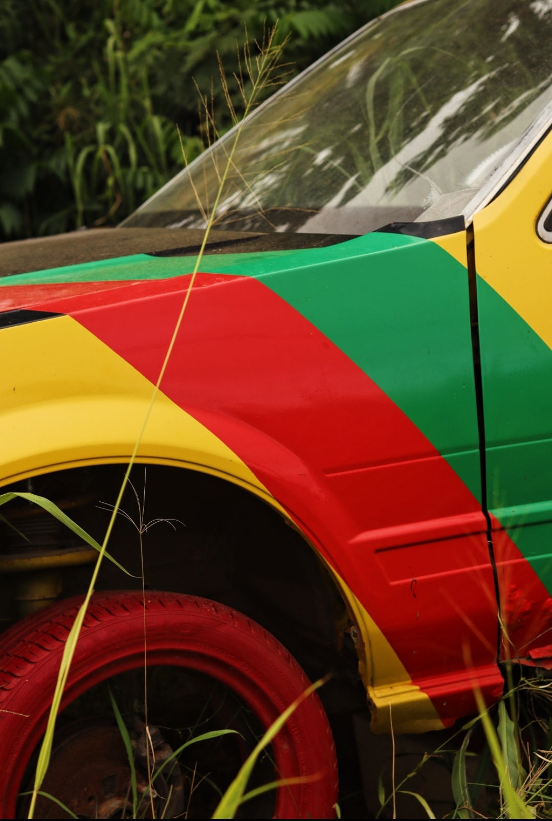 RASTA WHIP